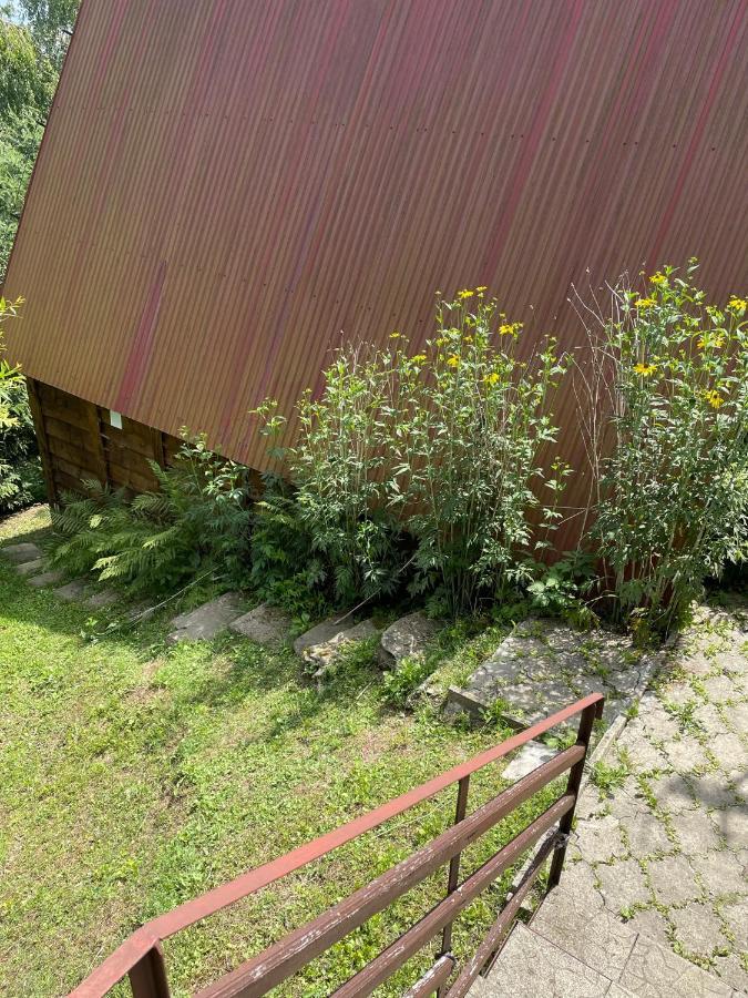 Domek Na Gorze Z Pieknym Widokiem Bukowiec  Dış mekan fotoğraf